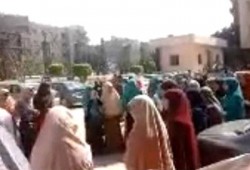 طالبات المنوفية يواصلن التظاهربمجمع الكليات بشبين الكوم