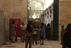 مغتصبون صهاينة يقتحمون المسجد الأقصى
