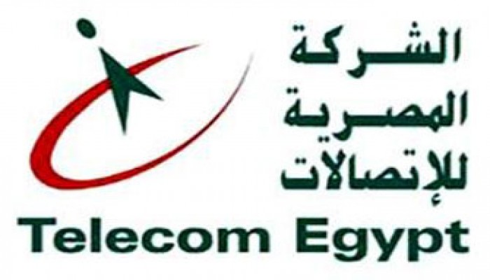 اعتصام العاملين بالمصرية للاتصالات تنديدًا بتعسف قرارات الانقلاب