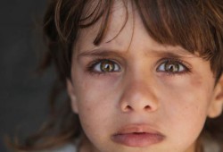ملصقات بروما تدعو لمقاطعة التجار الصهاينة تضامنًا مع غزة