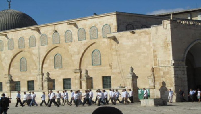 مغتصبون صهاينة يقتحمون الأقصى بحراسات شرطة الاحتلال