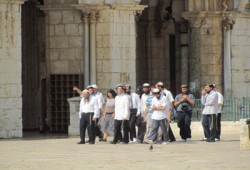 25 صهيونيًّا بقيادة حاخام يقتحمون الأقصى