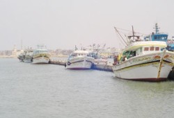 البحرية الصهيونية قتلت صيادًا فلسطينيًا اليوم