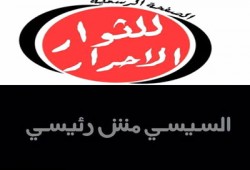 دعوة لدخول التحرير يوم 5 يونيو تحت شعار "السيسي مش رئيسي"