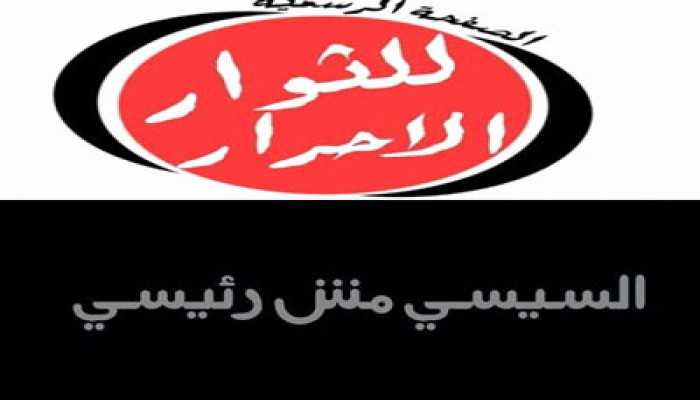 دعوة لدخول التحرير يوم 5 يونيو تحت شعار "السيسي مش رئيسي"
