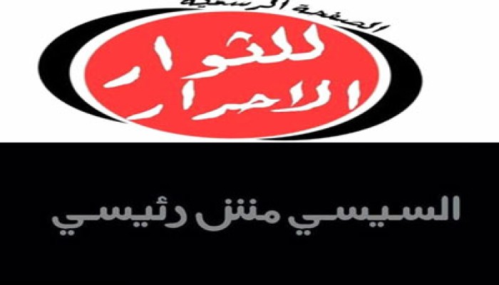 دعوة لدخول التحرير يوم 5 يونيو تحت شعار "السيسي مش رئيسي"