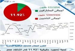 المرصد العربي: النسبة النهائية للتصويت في المهزلة 11.92%