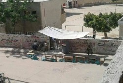 يو إس إيه توداي: القلق يضرب الانقلابيين بسبب ضعف الإقبال