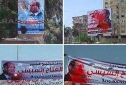 البحيرة تجدد مبايعتها للرئيس مرسي وتطمس دعاية الخائن
