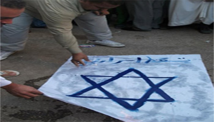 ثوار طنطا يحرقون علمي أمريكا والصهاينة في وقفة حاشدة