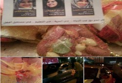 حملة للتعريف بحرائر المنصورة والمطالبة بتحريرهن من سجون الانقلاب