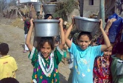 تقارير دولية: مصر مقبلة على فقر غذائي ومائي
