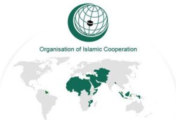 منظمة التعاون الإسلامي تعين مبعوثًا خاصًا لميانمار