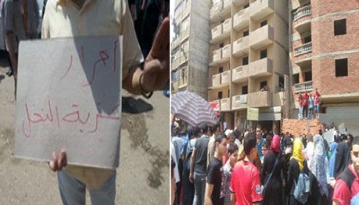بالصور.. عزبة النخل تنتفض في أسبوع "حاميها حراميها"
