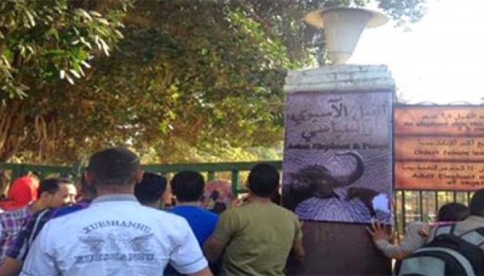 "السيسي" يتحول إلى "سياسي" في حديقة الحيوان