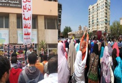 طلاب جامعة المنوفية ينتفضون للمطالبة بتطهير القضاء