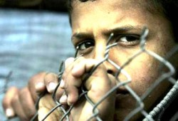 نحس الانقلاب.. 2014 الأسوأ على أطفال مصر