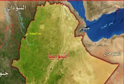 مقتل 9 وإصابة 7 في هجوم مسلح قرب "سد النهضة"