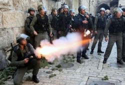 إصابة مصلين فلسطينيين في اقتحام صهيوني للمسجد الأقصى