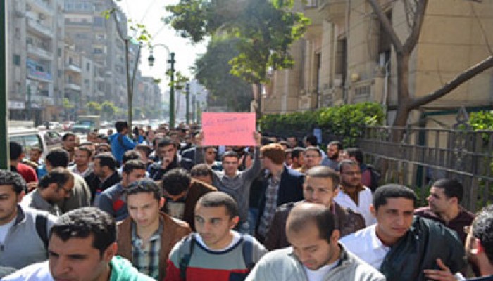 عفاريت دمنهور يتحدون جرائم ميليشيات الانقلاب بفراشة