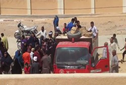 بالفيديو.. كراتين القوات المسلحة.. رشاوى انتخابية للسيسي بالفيوم