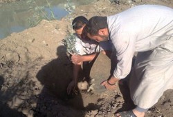 وقفة لعمال التشجير للمطالبة بالتثبيت وأجورهم 40 جنيهًا!!