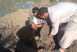وقفة لعمال التشجير للمطالبة بالتثبيت وأجورهم 40 جنيهًا!!