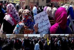 ثوار أكتوبر يهتفون: هاشتاج وصل للعالمية السيسي ابن المثالية