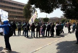 بالصور.. فعاليات هندسة حلوان من أجل الشهداء