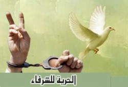 إخلاء سبيل 13 من رافضي الانقلاب بالمنيا