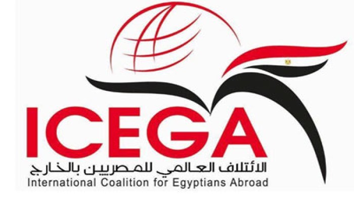 المصريون بالخارج: ندعم الحراك الثوري وننشر القضية للعالم