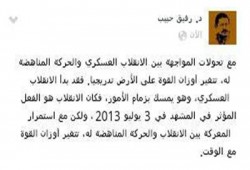 د. رفيق حبيب: استمرار الحراك الثوري يغير موازين القوة في مصر