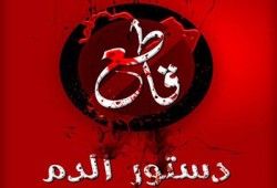 اﻷسوشيتد برس: استفتاء الدم يشبه دعاية الحرب وليس التحول لحكم ديمقراطي