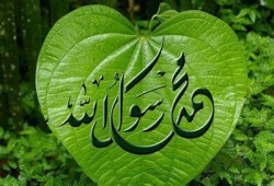 دراسة السيرة النبوية منحة لمجابهة الحصار والظلم