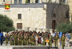 مغتصبون صهاينة يقتحمون الأقصى وسط حراسة شرطة الاحتلال