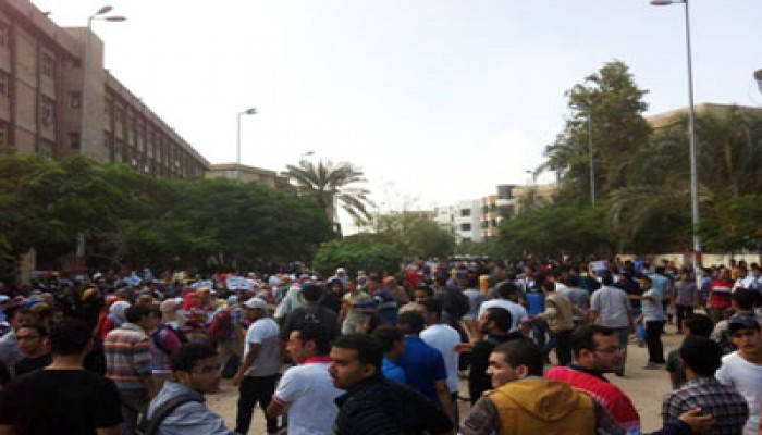 ثورة غضب بجامعات المنصورة للمطالبة بإسقاط الانقلاب والحرية للشرفاء