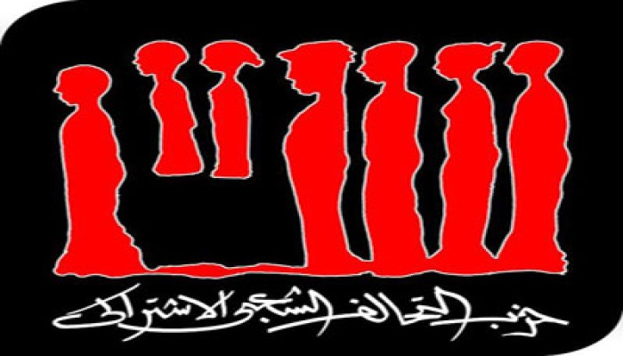 استقالة 40 عضوًا بالتحالف الاشتراكي بالإسكندرية على رأسهم أمينة الحزب
