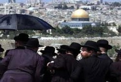 متطرفون يرفعون الأعلام الصهيونية بساحات الأقصى