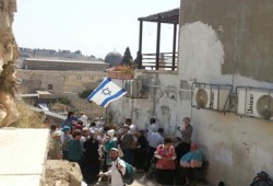 مغتصبون صهاينة يدنسون الأقصى واعتقال 20 فلسطينيًّا بالضفة