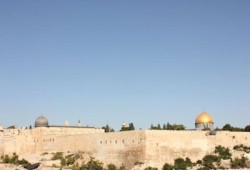 مرابطو الأقصى يتصدون لاقتحام الصهاينة للمسجد