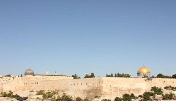 مرابطو الأقصى يتصدون لاقتحام الصهاينة للمسجد