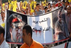 مفكر أمريكي: مواجهة المصريين للانقلاب أذهلت العالم.. والعسكر مدعومون خليجيًّا وأمريكيًّا