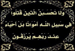 الإخوان المسلمون يتقدمون بخالص العزاء إلى المرشد العام وأهالي الشهداء