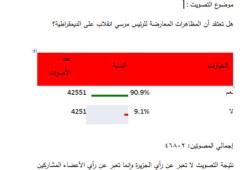 استطلاع: 90% يرون مظاهرات المعارضة للرئيس مرسي انقلابًا