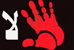 بلطجية "تمرد" تهاجم منزل ابنة قيادي للإخوان بالغربية والشرطة تتجاهل