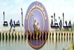 فوز رسالتي ماجستير بهندسة أسيوط بمنحة (CENA)