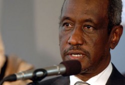 السودان يوجه بتكثيف العمل لتفعيل مبادرة الأمن الغذائي العربي