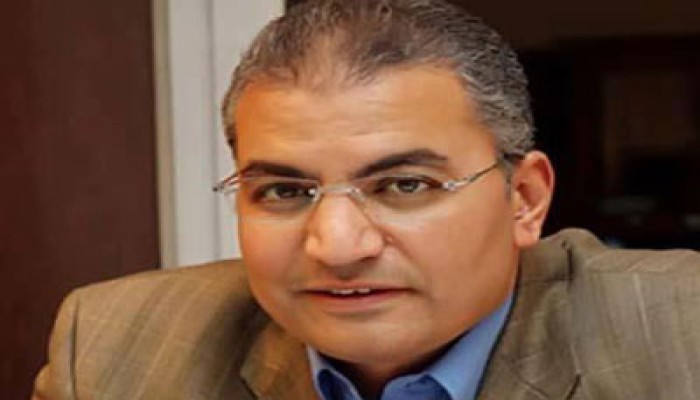 عصام سلطان: على الدستورية العدول عن قرارها بحق الجيش والشرطة