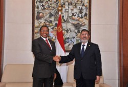 الرئيسان المصري والتنزاني يؤكدان عمق العلاقات التاريخية بين البلدين