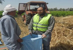 الحرية والعدالة ينظم قوافل حرفية ويشارك في موسم الحصاد بالمنيا